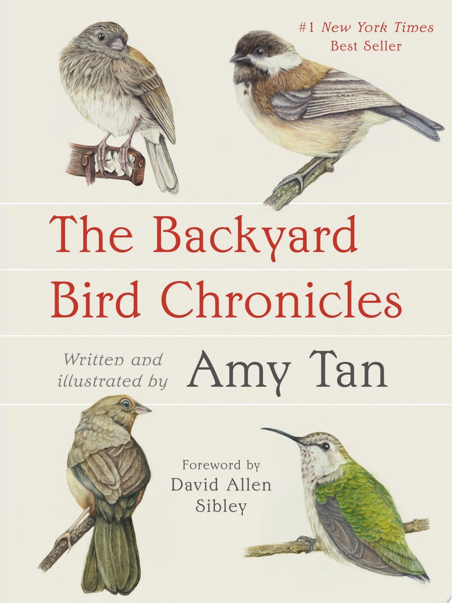 The Backyard Bird Chronicles