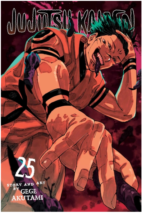Jujutsu Kaisen, Vol. 25