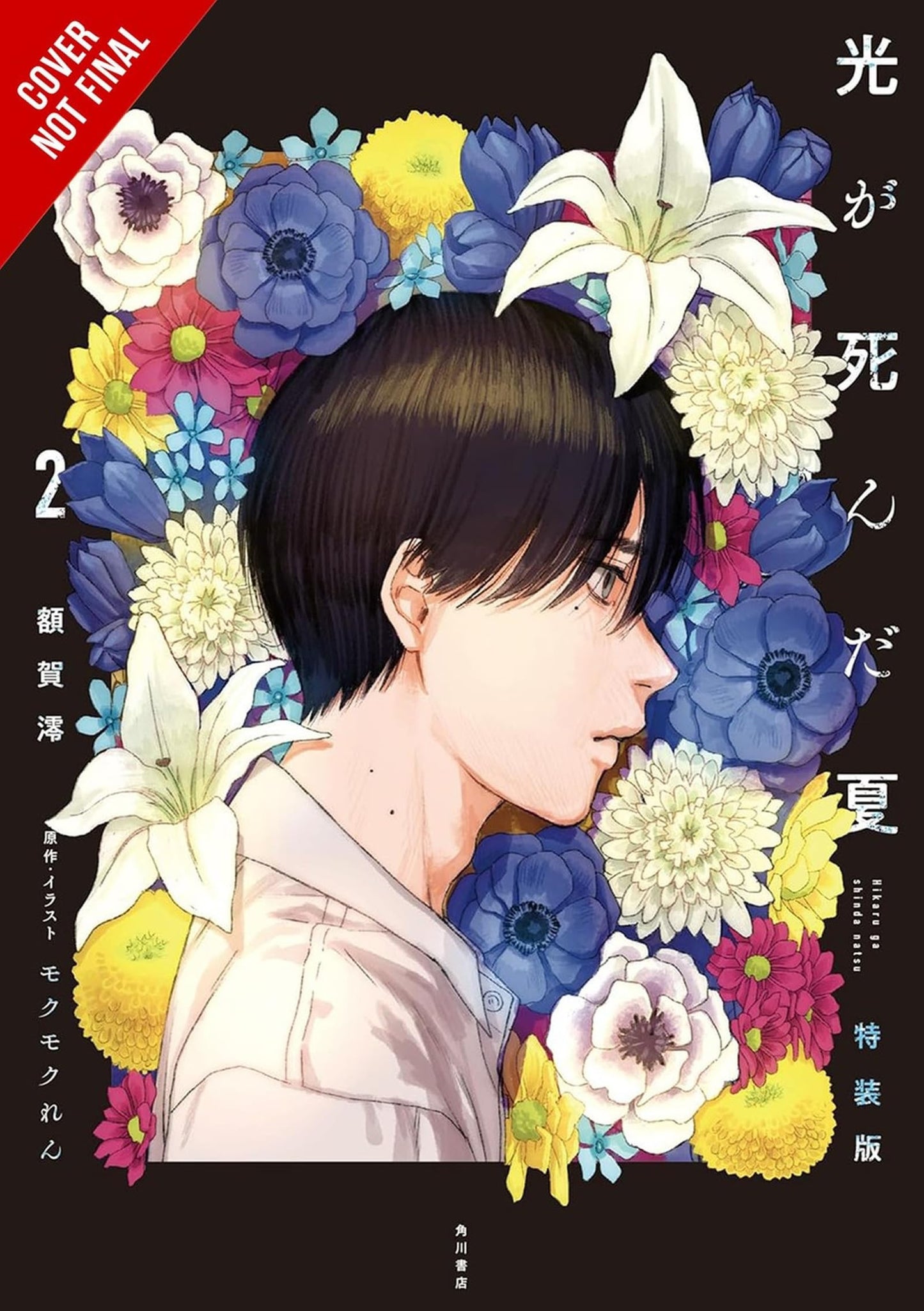 The Summer Hikaru Died, Vol. 2 (Light novel)
